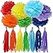 Bobee Rainbow Party Decorations 42 Piece Rainbow DIY Pom Poms and Tassel Garland