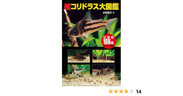 新コリドラス大図鑑 アクアライフの本 Keisuke Kobayashi Amazon Com Books