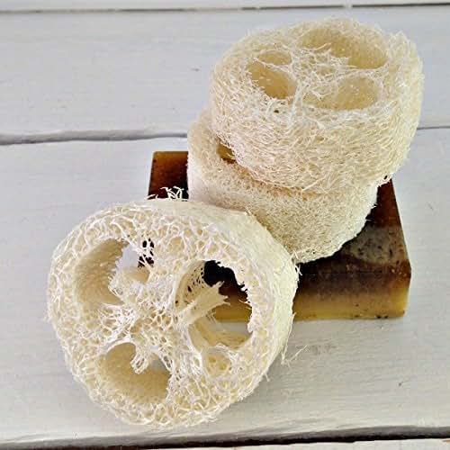 Amazon.com: Wholesale Natural Loofah Slice | BULK Small ...