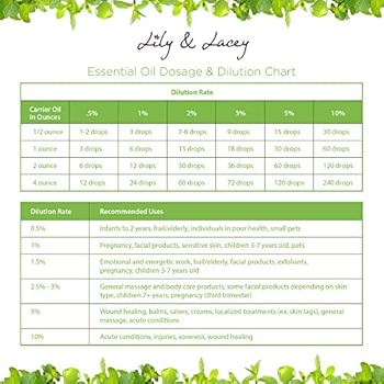 Lily Lacey Xl Essential Aromatherapy Peppermint Oil Large 4 Fl Oz Bottle W Glass Dropper Buy Online At Best Price In Uae Amazon Ae