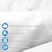 Bare Home Extra Long Flat Sheet - Premium 1800 Ultra-Soft Top Sheet - Hotel Luxury - Double Brushed - Easy Care - 2 Extra Long Flat Sheets Only (Twin/Twin XL - 2 Pack, Grey)