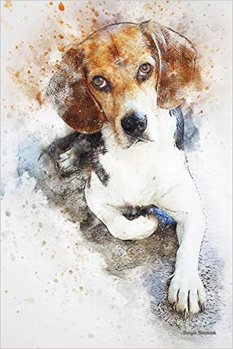 beagle amazon
