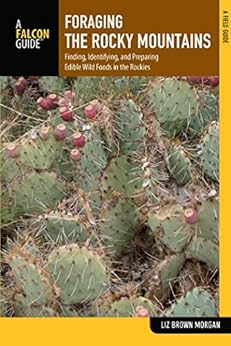 ebook The Southern Cone Model: The Political Economy of Regional Capitalist Development in Latin America 2004