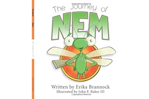 The Journey of NEM