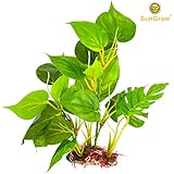 SunGrow Plastic Plant Leaf
