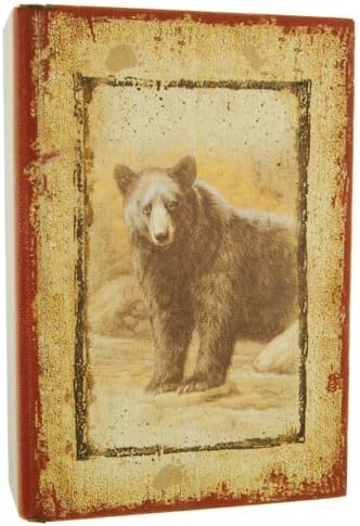 Hollow Hide-a-Book, Bear 7-inch