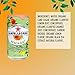 Sanpellegrino Pesca &Te Sparkling Organic Juice & Tea Beverage Blend 8.45 Fl. Oz. (24 Pack)