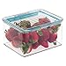 iDesign Plastic BPA-Free Pantry Food Storage Organizer Bin with Air-Tight Hinged Lid, 1.5 Quart Container for Kitchen, Fridge, Freezer, Cabinet, 5.5