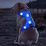 BSEEN LED Dog Harness LED Night Safety Dog Vest Harness USB Rechargeable Soft Mesh Vest with Adjustable Belt Padded Lightweight Collar for Large, Medium and Small Dogs(Large, Blue)