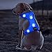 Bseen LED Dog Harness LED Night Safety Dog Vest Harness USB Rechargeable Soft Mesh Vest with Adjustable Belt Padded Lightweight Collar for Large, Medium and Small Dogs(Large, Blue)