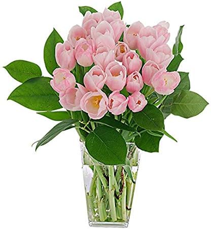 Stargazer BarnMom's Bouquet Pink Tulips Fresh Flowers Bouquet - Overnight Prime Delivery, Fresh Cut Flowers for Long Life - Bouquet of Flowers For Birthday, Anniversary, Mothers, Get Well - 15 Stems