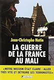 La guerre de la France au Mali by