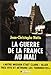 La guerre de la France au Mali by