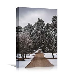 signwin Canvas Wall Art Winter Trees Cool Dramatic...