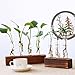 Ivolador Propagation Test Tube Station 3 Glass Test Tube Vase Plants Terrariums for Hydroponic Plants Home Garden Decoration - 3 Test Tube