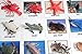 Curious Minds Busy Bags Montessori Animal Match - Miniature Ocean Animals with Matching Cards - 2 Part Cards. Montessori Learning Toy, Language Materials