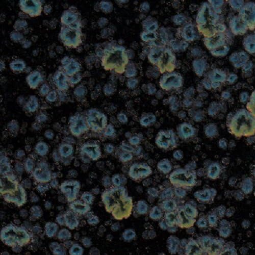 Mayco Jungle Gems Crystal Glaze - CG 786 - Obsidian - 4 Ounce Jar