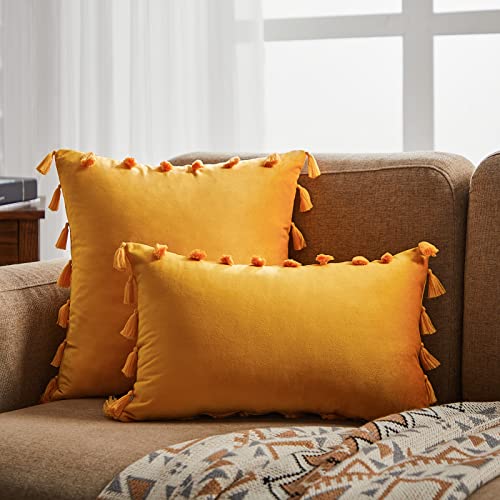 Topfinel Decorative Throw Pillow Covers 18 x 18 Set of 2,Boho Tassel