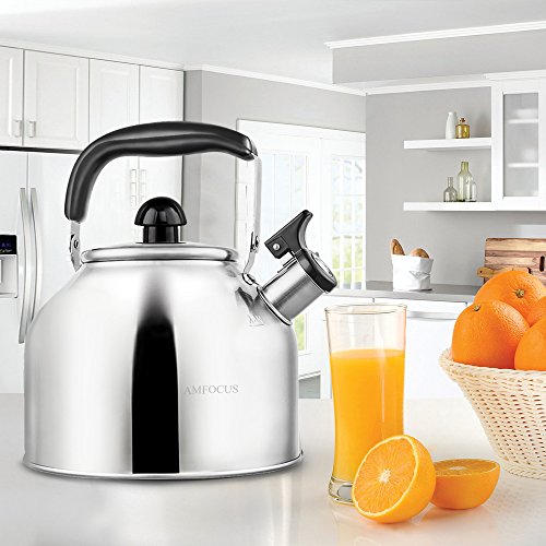 Tea Kettle Whistling Teapot for Stove Top Stainless Teakettle - Thin Base - Fast Boil - 2.8L