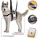 Veterinarian Approved Dog Support Harness + Hair Remover Glove - Dogs Sling Lift for Paralyzed Legs - Adjustable Straps - Mobility Rehabilitation for Injured Arthritis Elderly Disabled - XL breed