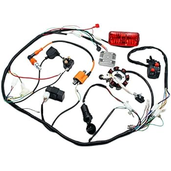 Amazon.com: Complete Electrics 4 Stroke ATV QUAD 150 200 ... dirt bike 4 pin wiring harness 