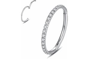 Yrogcu 20G 18G 16G 14G Single/Double Hoop Stainless-Steel Seamless-Hinged-Piercing Segment-Clicker Nose-Ring-Hoop : Diameter 6mm 8mm 10mm 12mm Cartilage Earrings