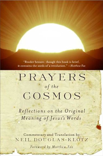 Download Prayers of the Cosmos: Reflections on the Original Meaning of Jesus' Words (English Edition) PDF