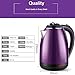 220V 1500W 2.0L Stainless Steel Electric Kettle