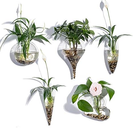 Amazon Co Jp ホームオフィス室内装飾の壁ハンギングプランター空気植物ホルダーの形状花瓶 Style 1 ホーム キッチン