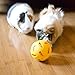Wheeky Treat Ball Toy for Guinea Pigs, Rabbits, Hedgehogs and Other Small Pets, 7 cm, Yellow, Adjustable Opening Treat Toy New