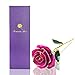 econoLED Long Stem Dipped 24k Gold Trim Red Rose in Gift Box,Valentines Gifts for Couples, Cute Valentines Day Gift Ideas, Good Couple Gifts for Valentines, Romantic (Purple)