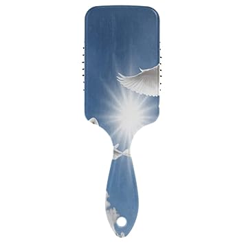 Amazon Com Women Girls Hairbrush Beautiful Blue Sky And White