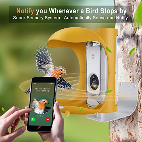Bird Detective Smart Bird Feeder Notify You Whenever Birds Visit & AI