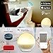 Wake Up Light Alarm Clock, Burbupps Kids Night Light Compatible with Alexa & Google Home, 7 Colored Sunrise Simulation and Sunset Fading, Dual Alarm Clock with FM Radio, USB Charge Port (Style-2)