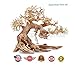 Bonsai Driftwood Aquarium Tree AS random pick (6in H x 8in L) Natural, Handcrafted Fish Tank Decoration | Helps Balance Water pH Levels, Stabilizes Environments | Easy to Installthumb 1