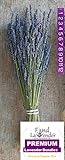 Lavender Dried Premium Bundles (Pack of 1 Bundle) - Made in the USA