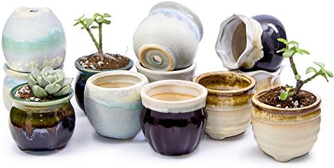 goldblue 2.5 Inch Ceramic Flowing Glaze Serial Succulent Cactus Plant Pot Flower Planter Container Set of 12