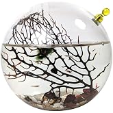 Glass Self Sustaining Shrimp Ecosphere Large