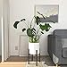 Mid Century Plant Stand – Up to 10” Flower Pot, Wood Indoor Planter Holder, Modern Home Decor (Planter Not Included)thumb 2