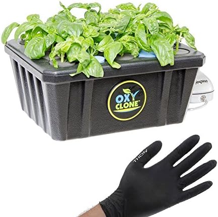 oxyCLONE 20 Site Cloning System + THCity Gloves
