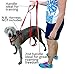 Upgraded Mini Bark Control Device Outdoor Anti Barking Ultrasonic Dog Bark Control Sonic Bark Deterrents Silencer Stop Barking Bark Stop Repeller (31FT)