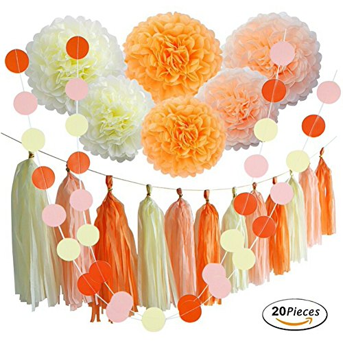 20 Pcs Summer Sunny Day Hangings Wedding Favors Decorations Kit with Tissue Flowers Tassel Hangings and Citcle Dots Garlands Baby Shower Birthday Party Decorations