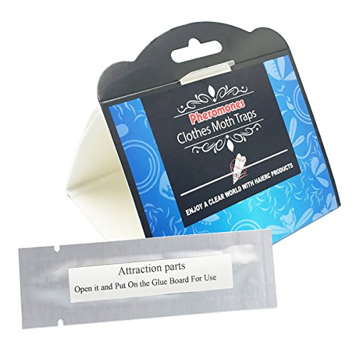 Clothes Moth Traps with Pheromone Attractant, Non-Toxic Odor-Free Safe able to use in Closet Rooms and Wardrobe (6 Traps)