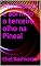 Livro Meditando e abrindo o terceiro olho na Pineal