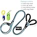 haapaw Slip Lead Dog Leash with Comfortable Padded Handle Reflective, Mountain Climbing Rope Dog Training Leashes for Large Medium Small Dogs(2 Packs, 6 FT) (Slip Leash, Black/Blue)