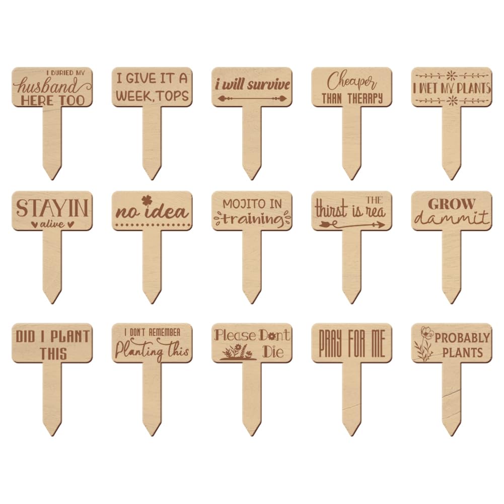 INFUNLY 15PCS Funny Wooden Plant Markers Inspirational Words Plant Label Stakes 3X2 Plant Tags for Seedlings T-Type Garden Labels for Outdoor Indoor Patio Succulent Potted Plants Decor