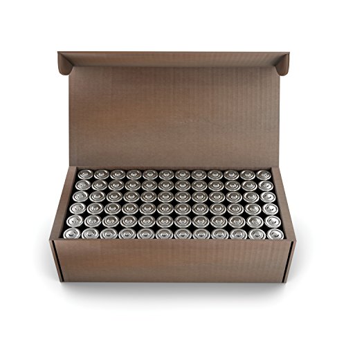 The 10 best amazon aa batteries 100 Sugiman Reviews