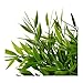 Ikea Artificial Potted Plant, House Bamboo, 11 Inch, Pack of 2