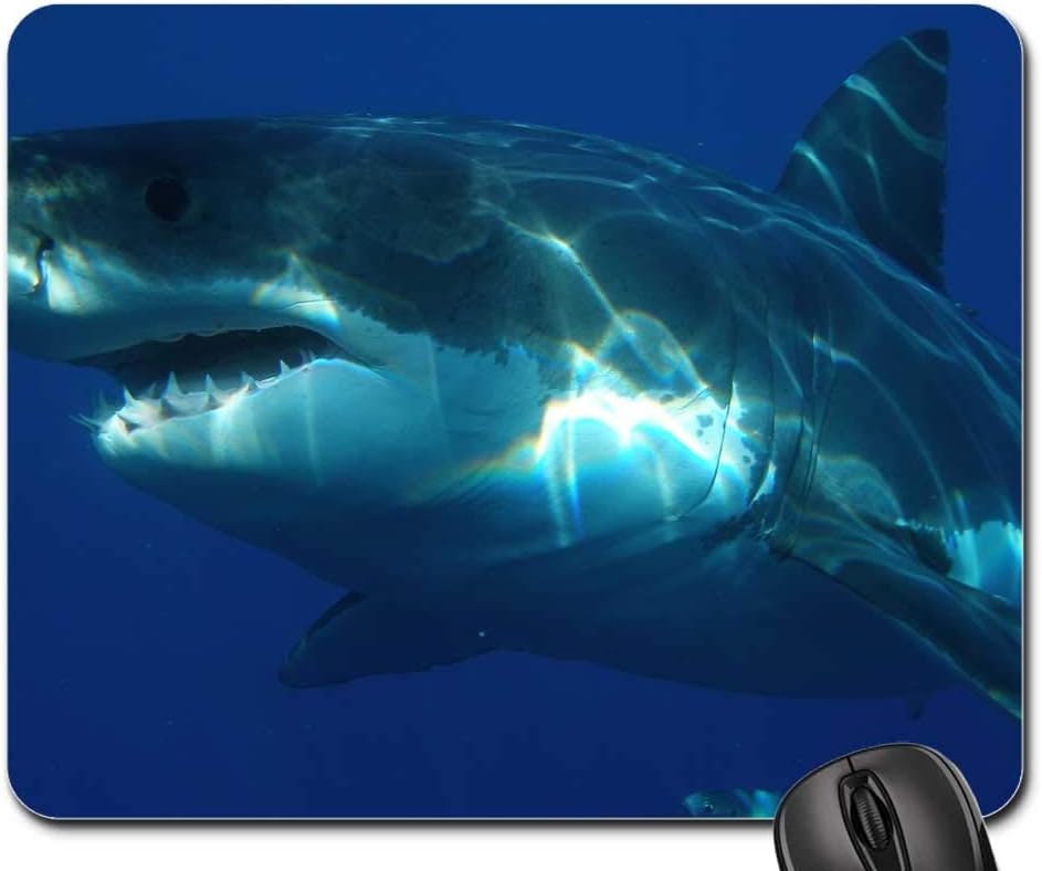 Mouse Pad - Great White Shark Shark Jaws Fish Dangerous