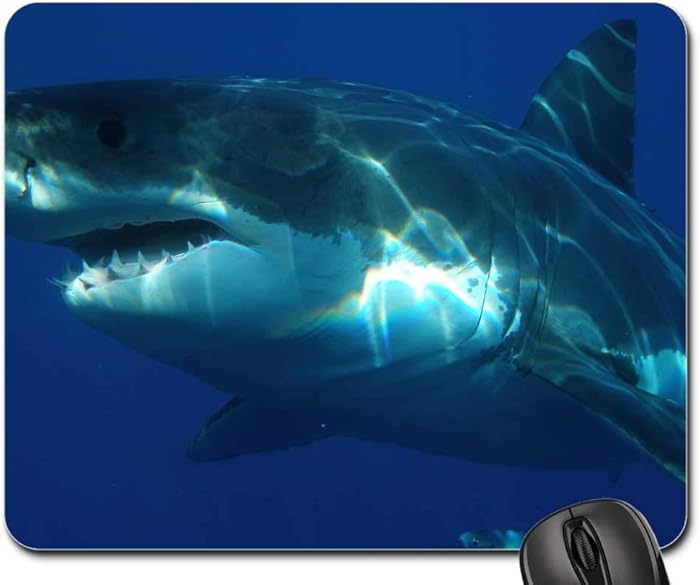 Mouse Pad - Great White Shark Shark Jaws Fish Dangerous